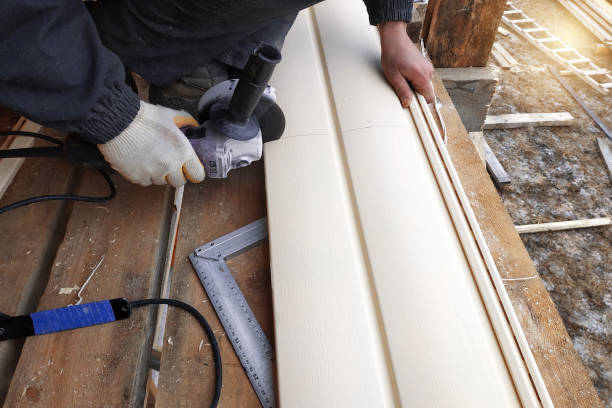 Best Fascia and Soffit Installation  in Greeneville, TN