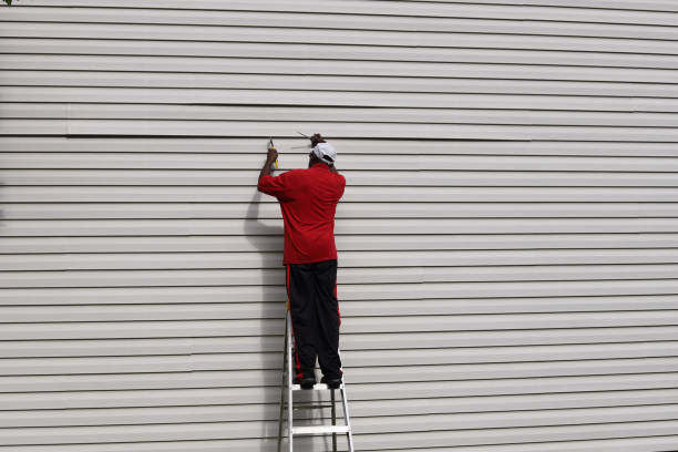 Best Stucco Siding  in Greeneville, TN